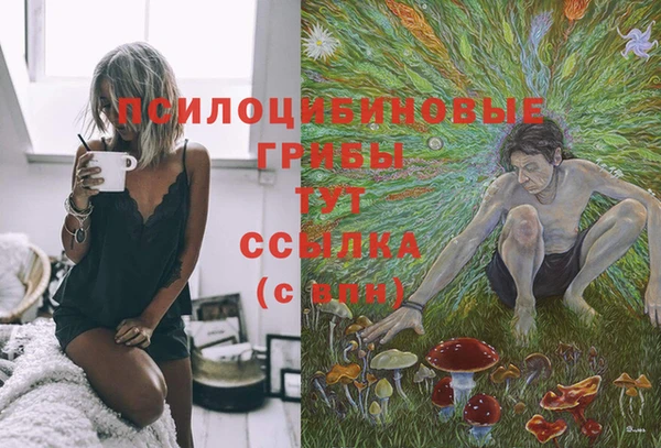 эйфоретик Балахна