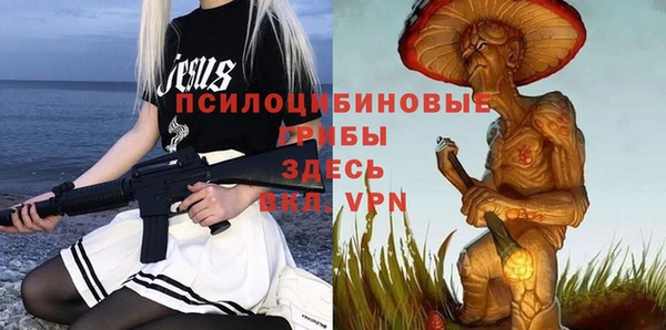 эйфоретик Балахна